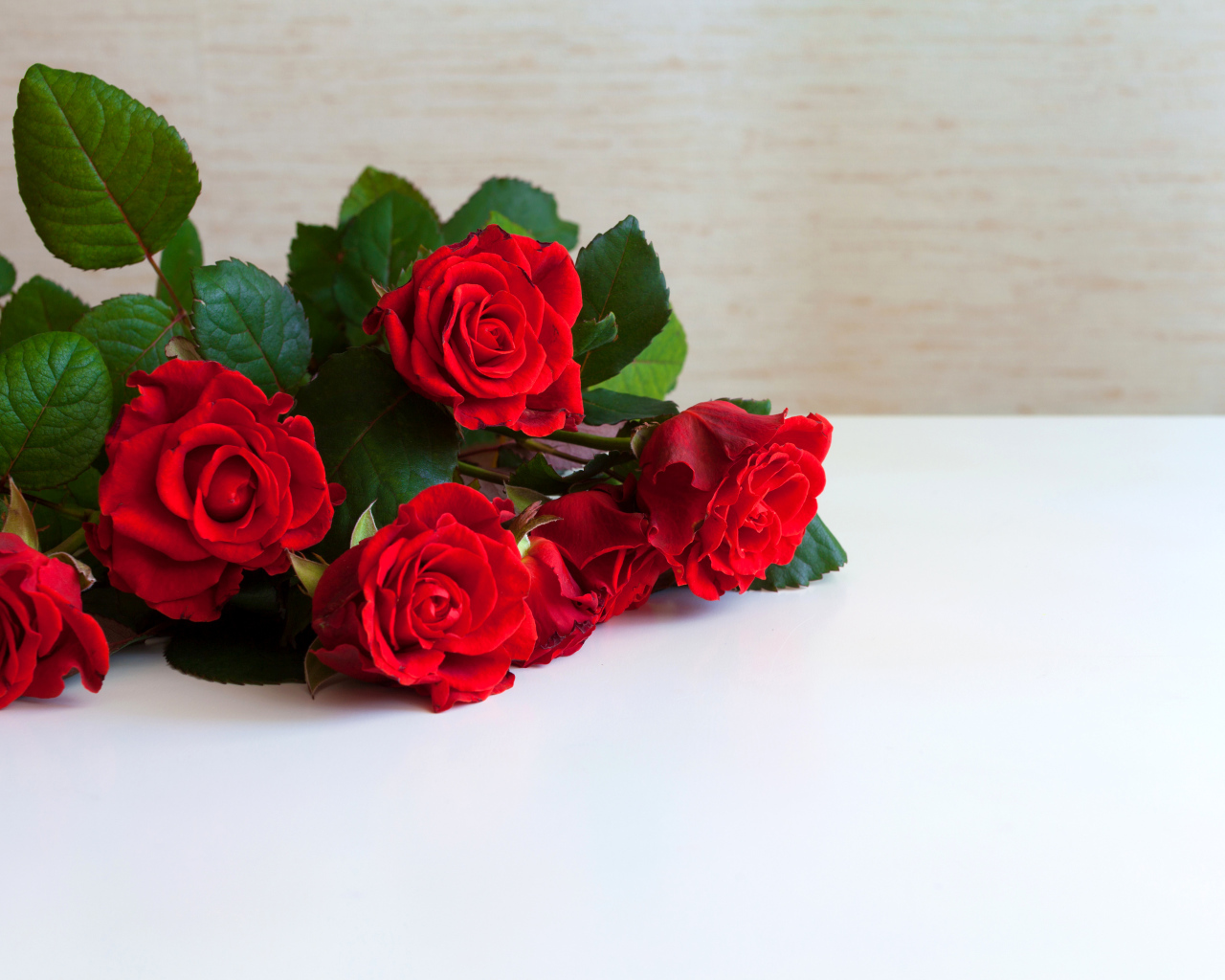 Букет красных роз на белой поверхности, шаблон