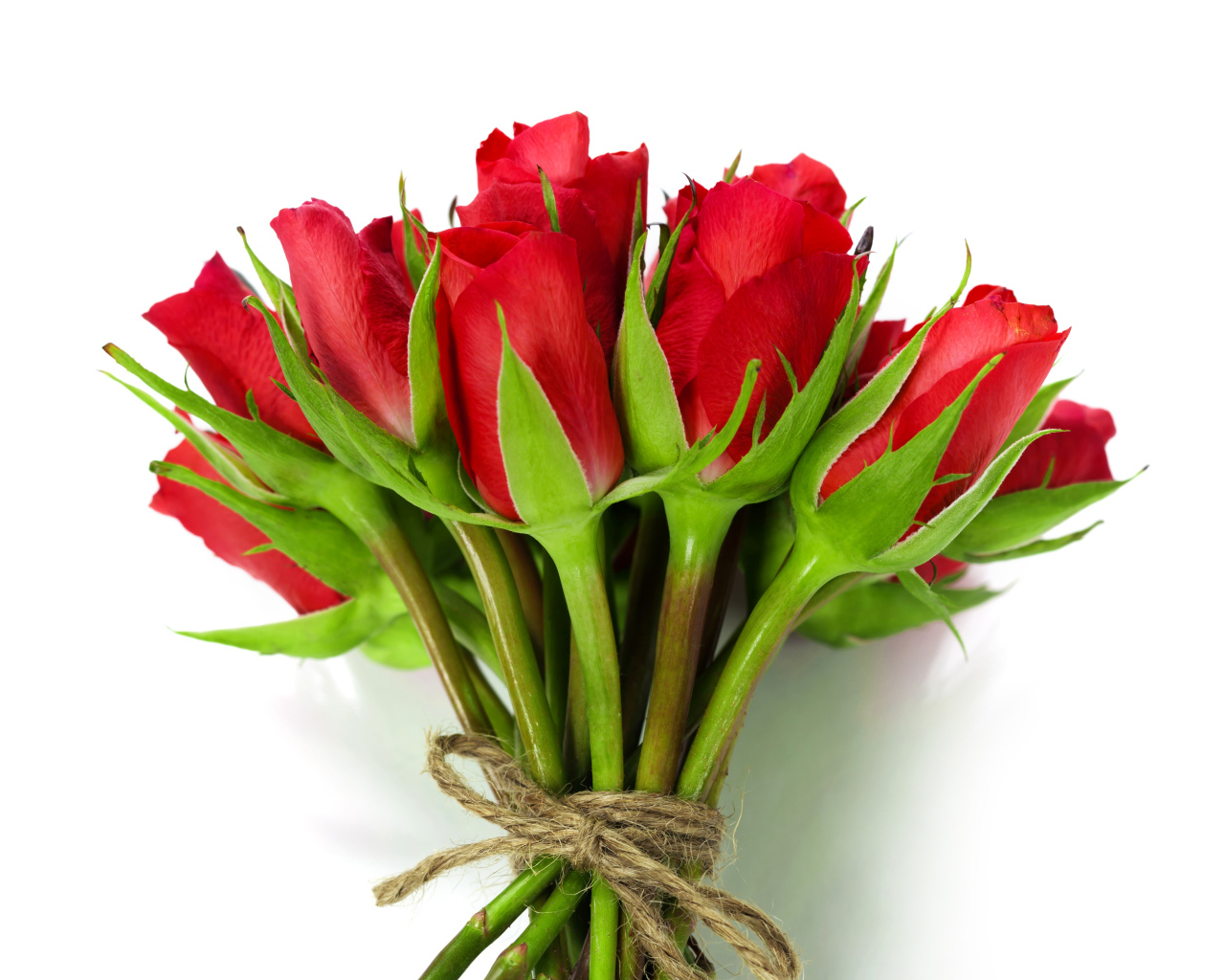 Букет красных роз перевязан веревкой на белом фоне