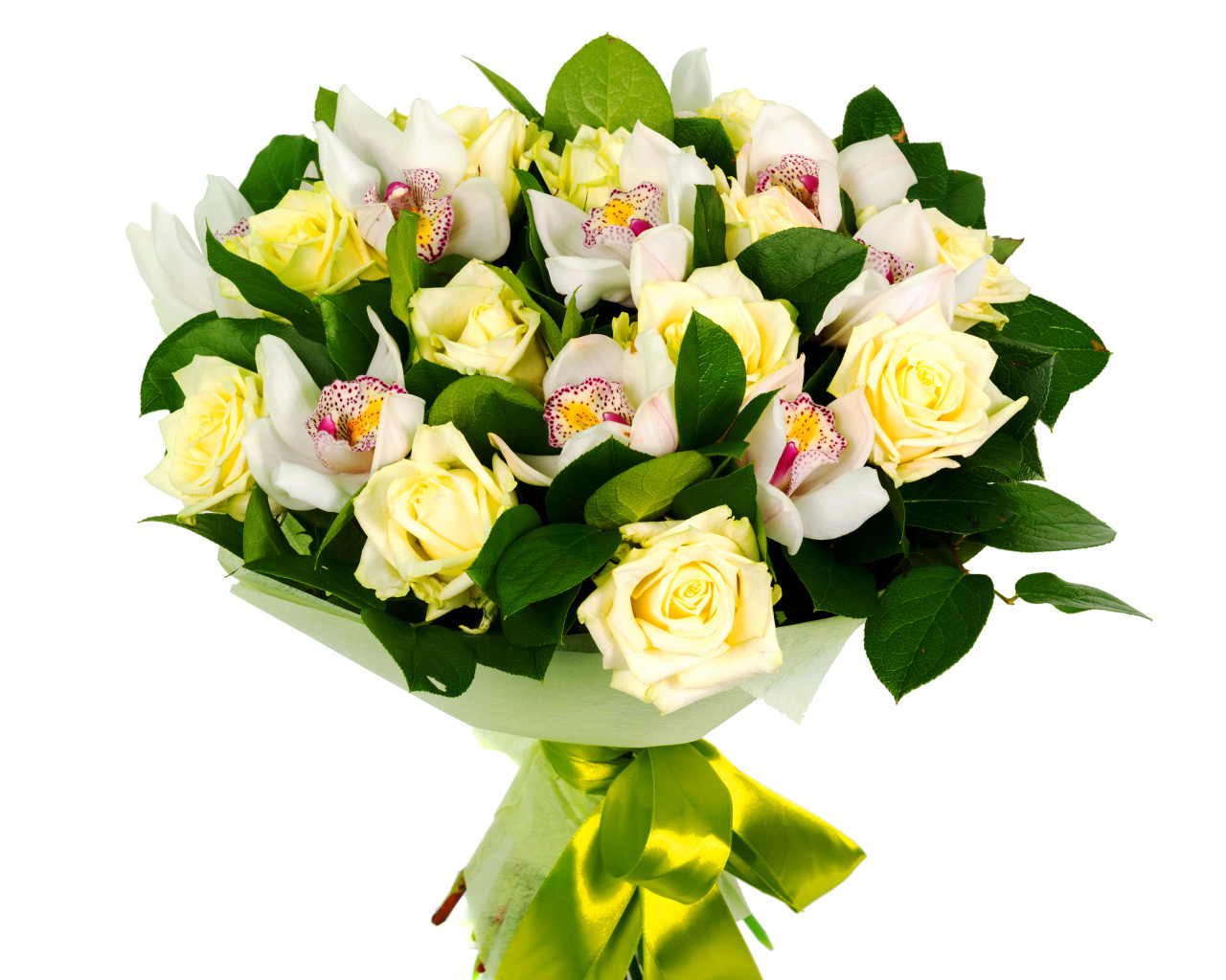 Букет белых роз и белых орхидей на белом фоне