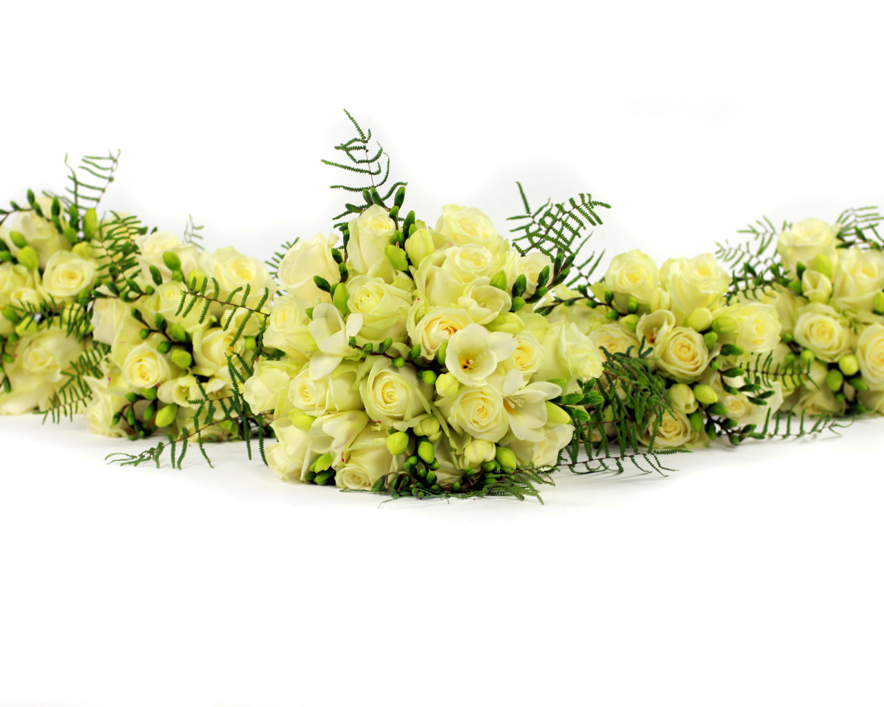 Букеты белых роз и фрезии на белом фоне