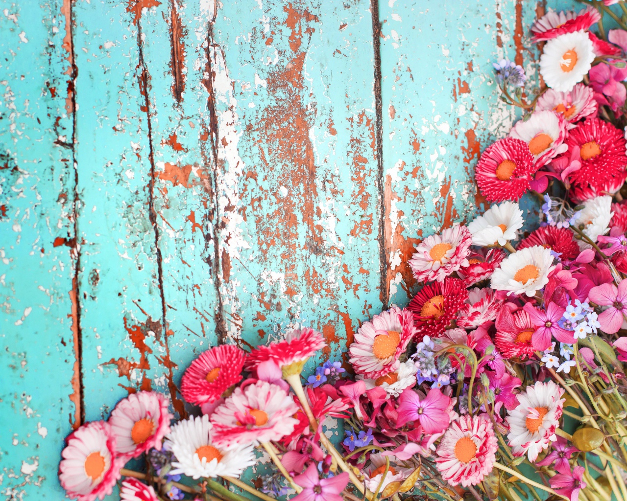 Маргаритки и флоксы на старой деревянной поверхности