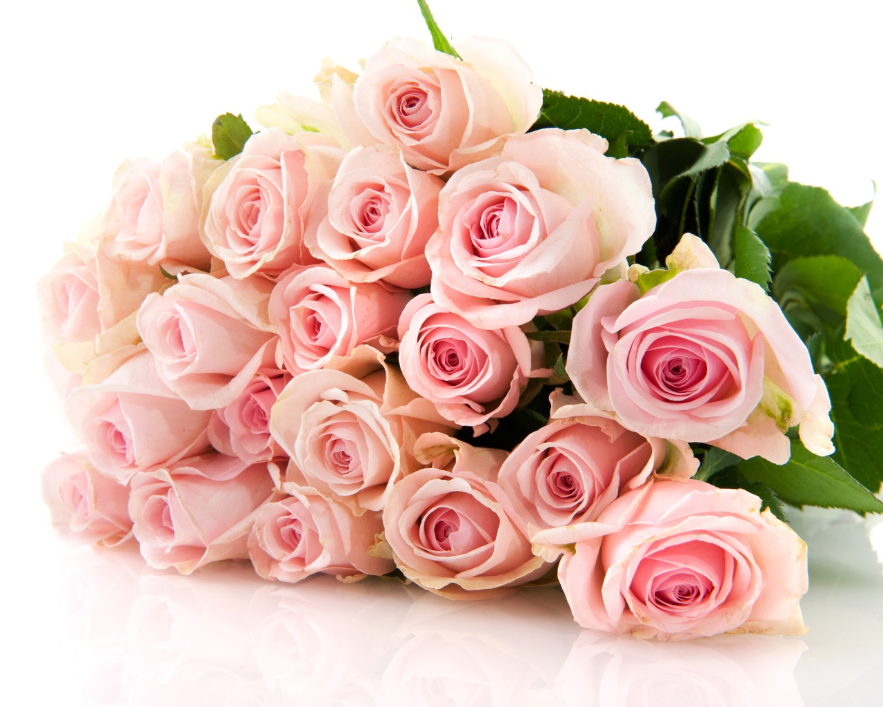 Нежный букет красивых розовых роз на белом фоне