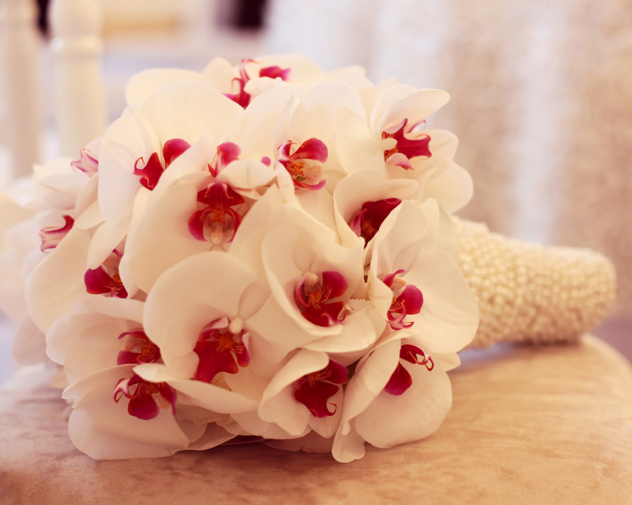 Нежный букет белой орхидеи