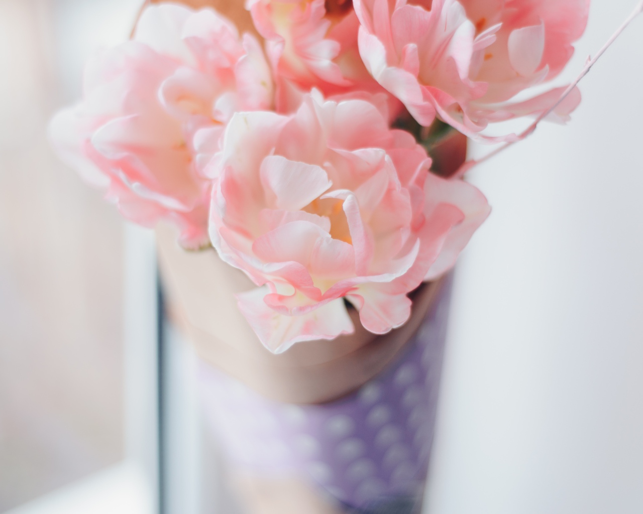 Нежные розовые цветы тюльпаны 