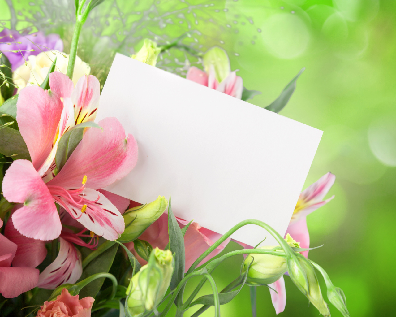 Цветы альстрёмерия и эустома, шаблон для открытки