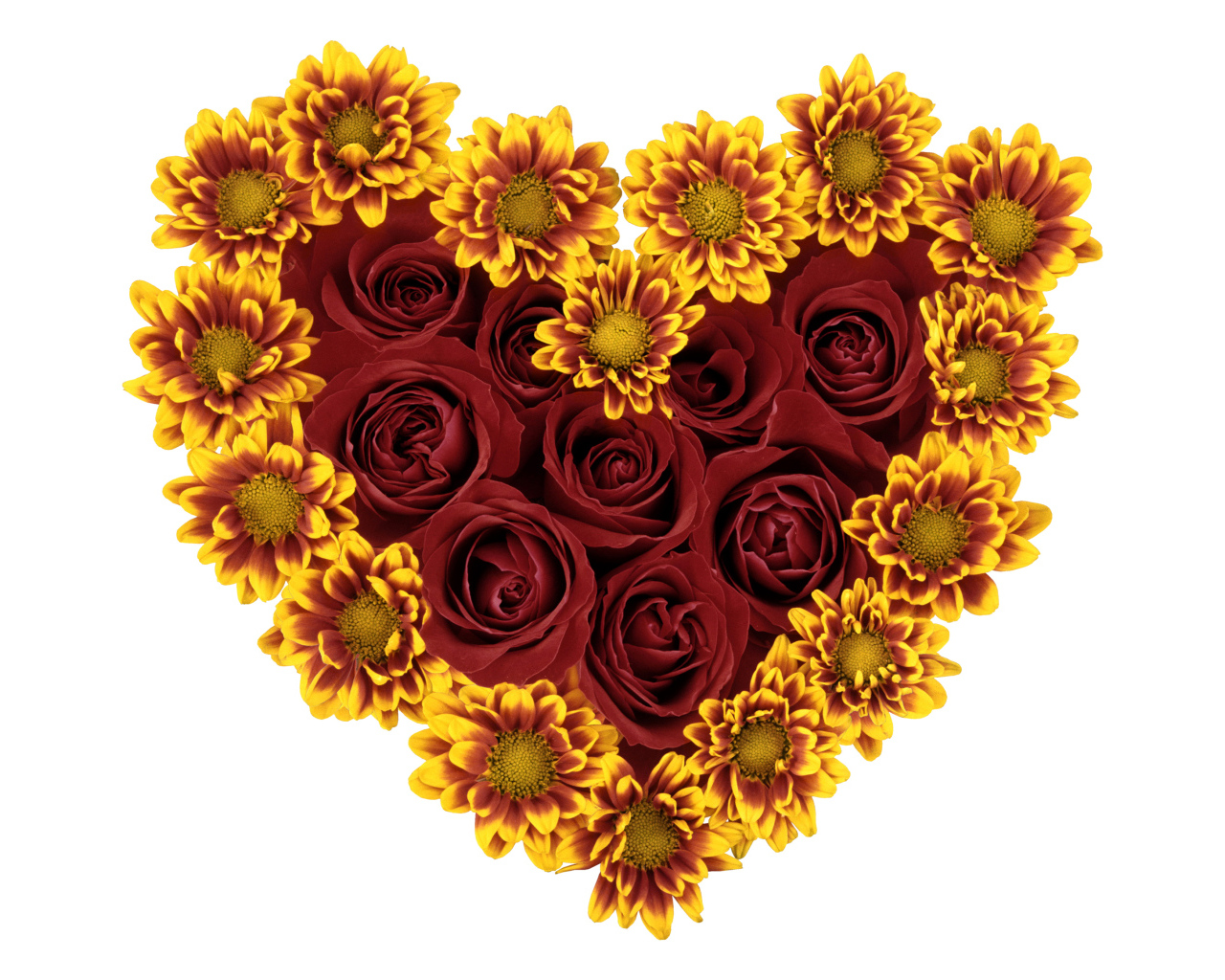 Сердце из роз и цветов хризантемы на белом фоне