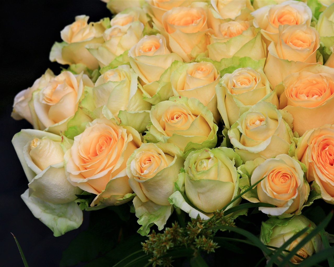 Большой букет нежных роз персикового цвета