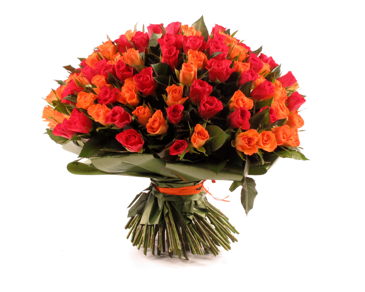 Большой букет оранжевых и розовых роз на белом фоне