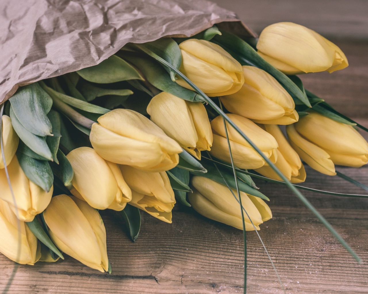 Большой букет желтых тюльпанов в бумаге 