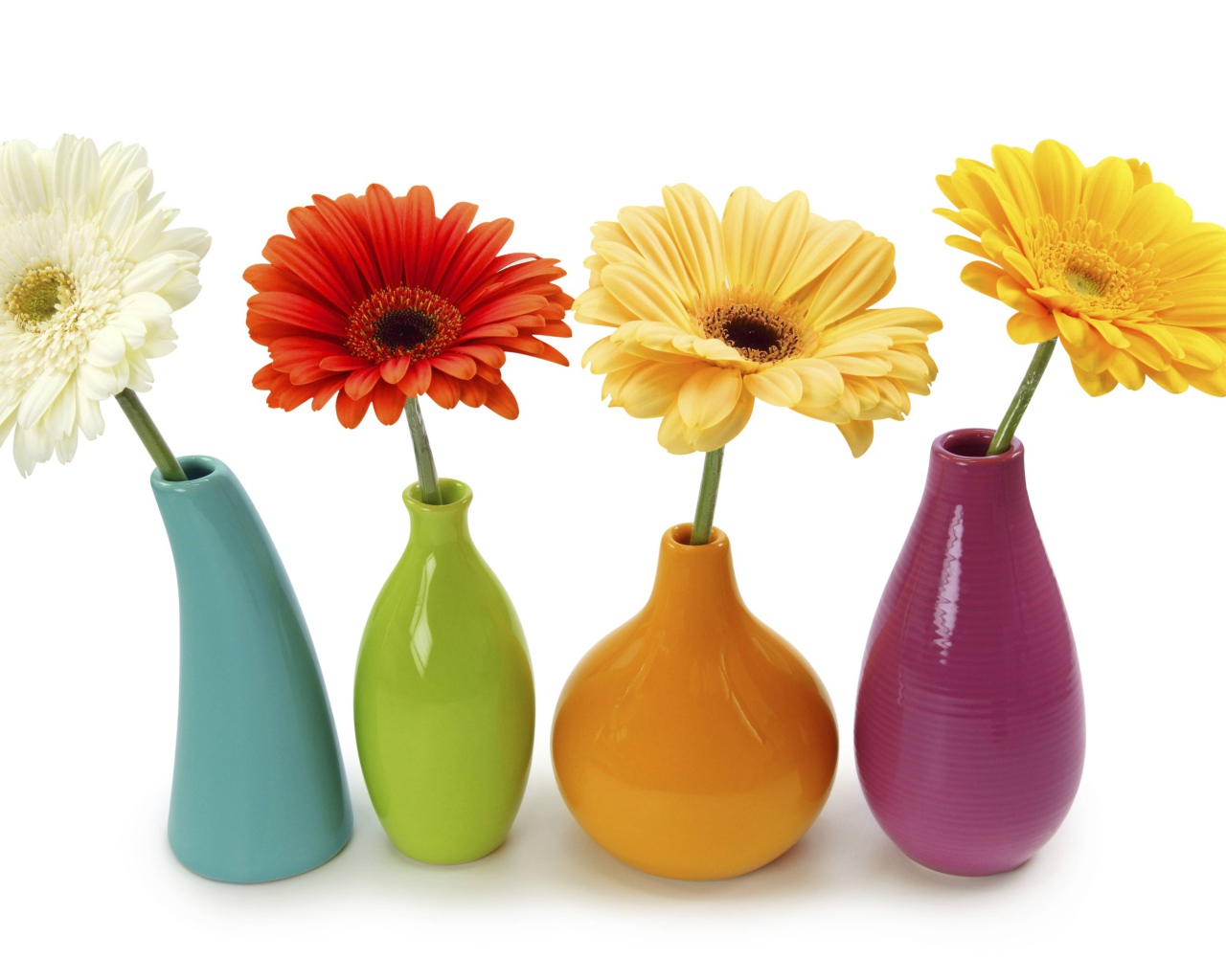 Разноцветные герберы в вазах на белом фоне 