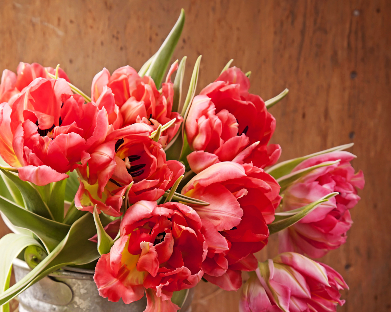 Розовые тюльпаны крупным планом в вазе