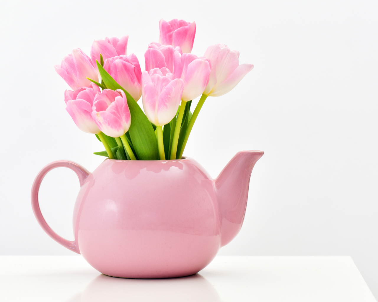 Розовые тюльпаны в чайнике на белом фоне