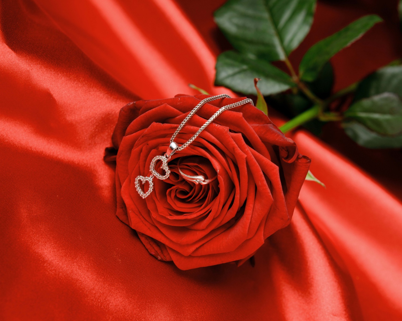 Красная роза с серебряным кулоном с сердечками