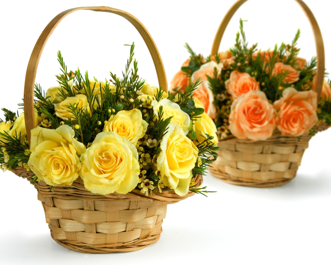 Две корзины с желтыми и оранжевыми розами на белом фоне