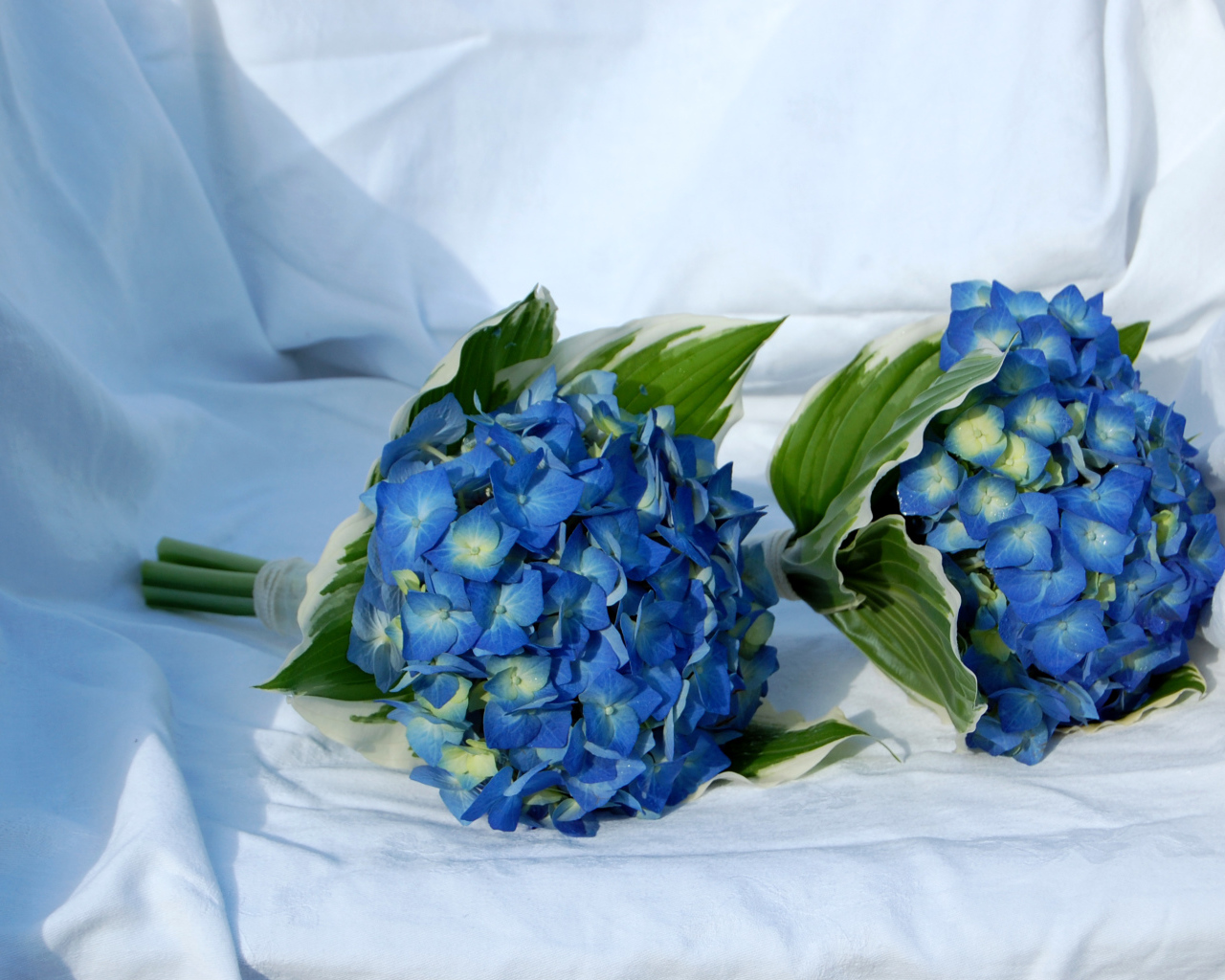 Два букета цветов гортензии