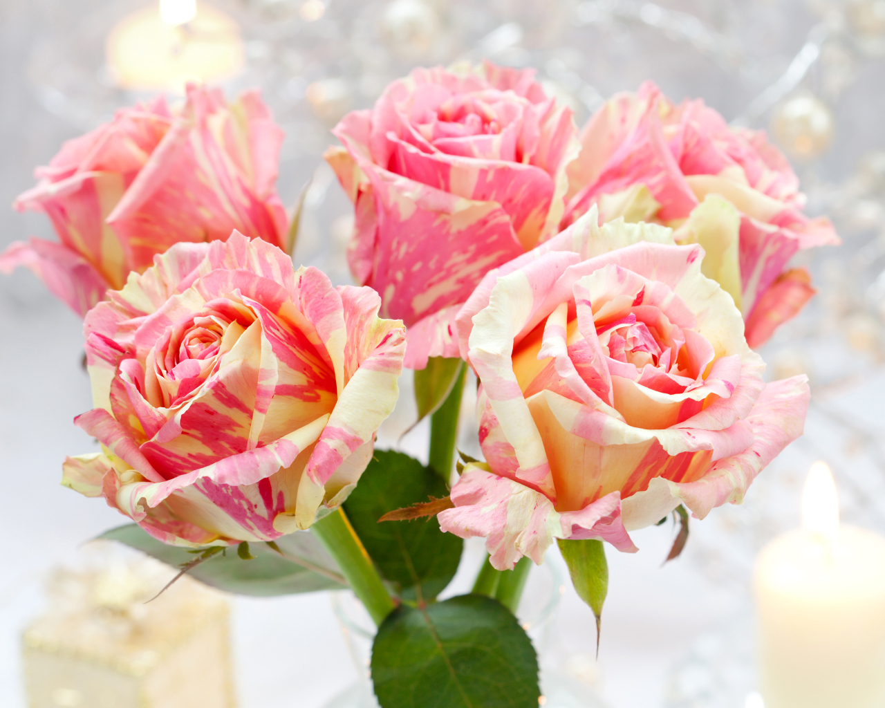 Необычные красивые розы крупным планом