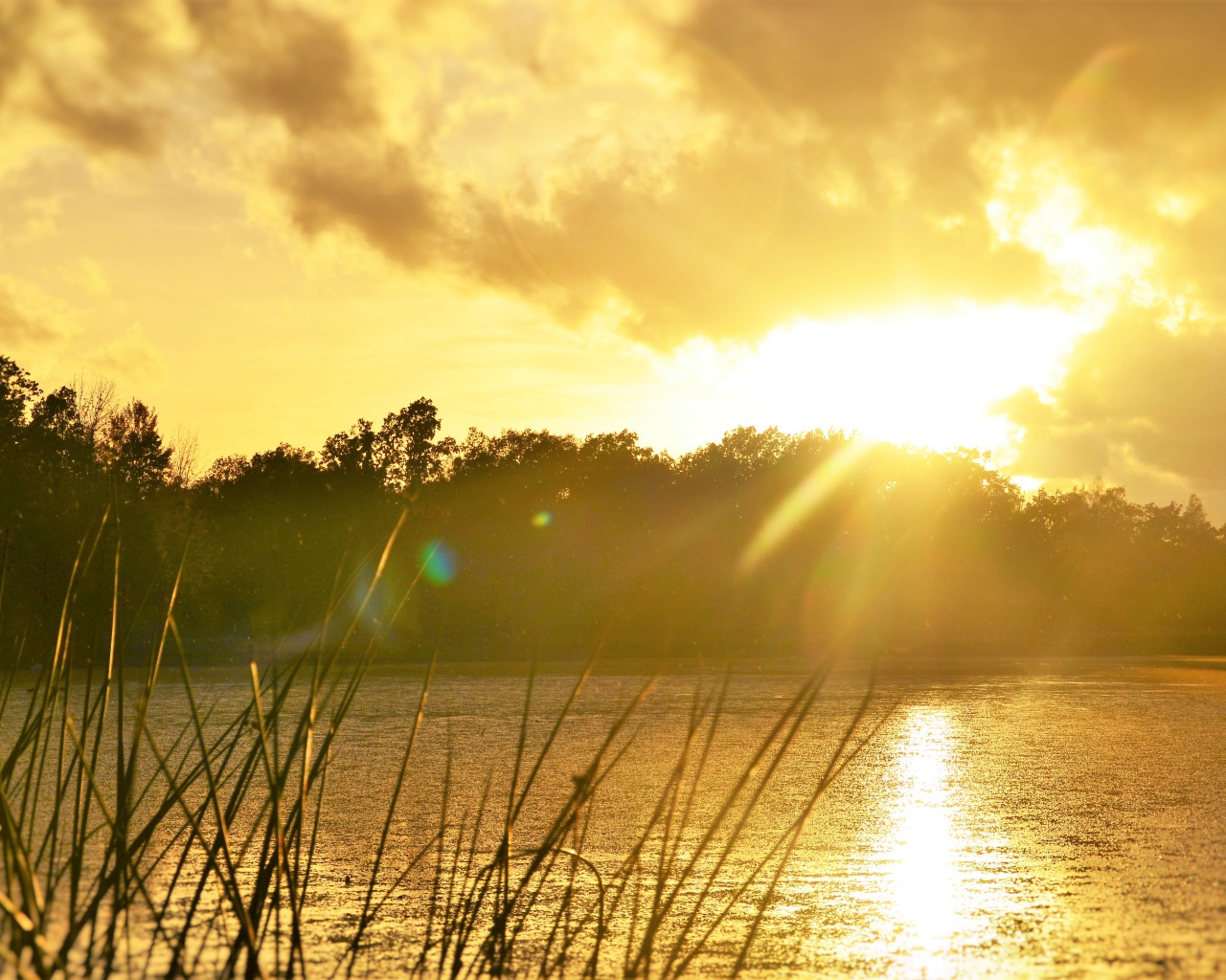 Восход солнца над лесным озером 