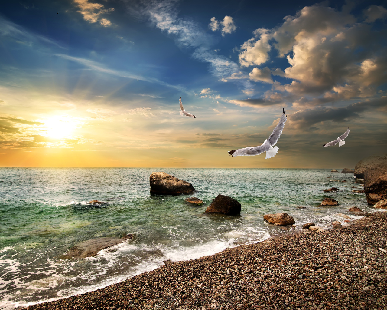 Seagulls fly over the seashore at sunset