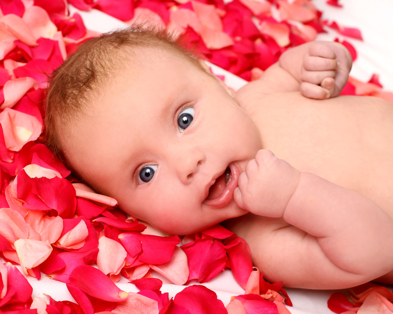 Грудной ребенок лежит на лепестках красной розы