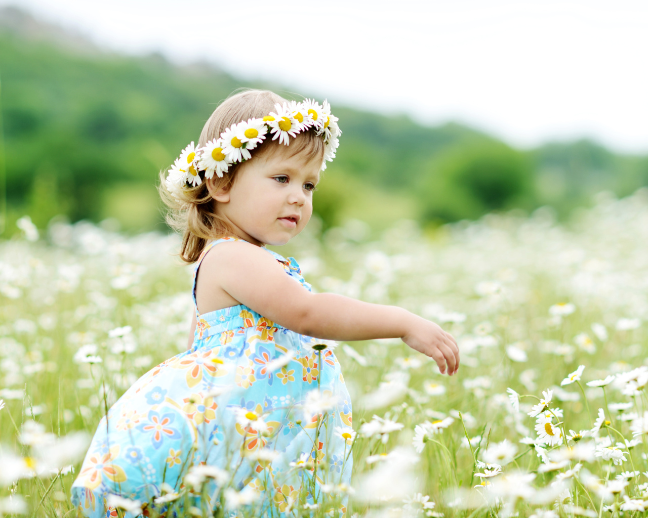 Маленькая девочка в сарафане гуляет по полю с ромашками летом