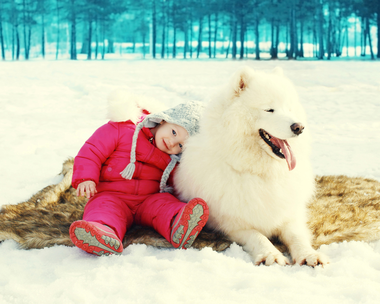 Маленькая девочка сидит на снегу с большой Самоедской собакой
