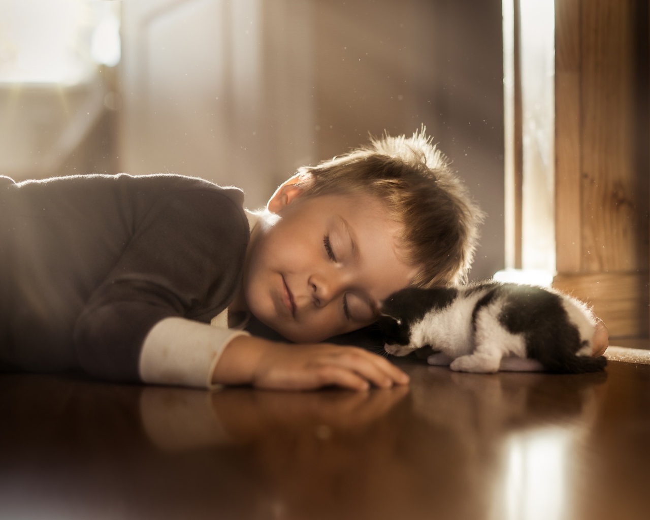 Спящий маленький мальчик и маленький котенок