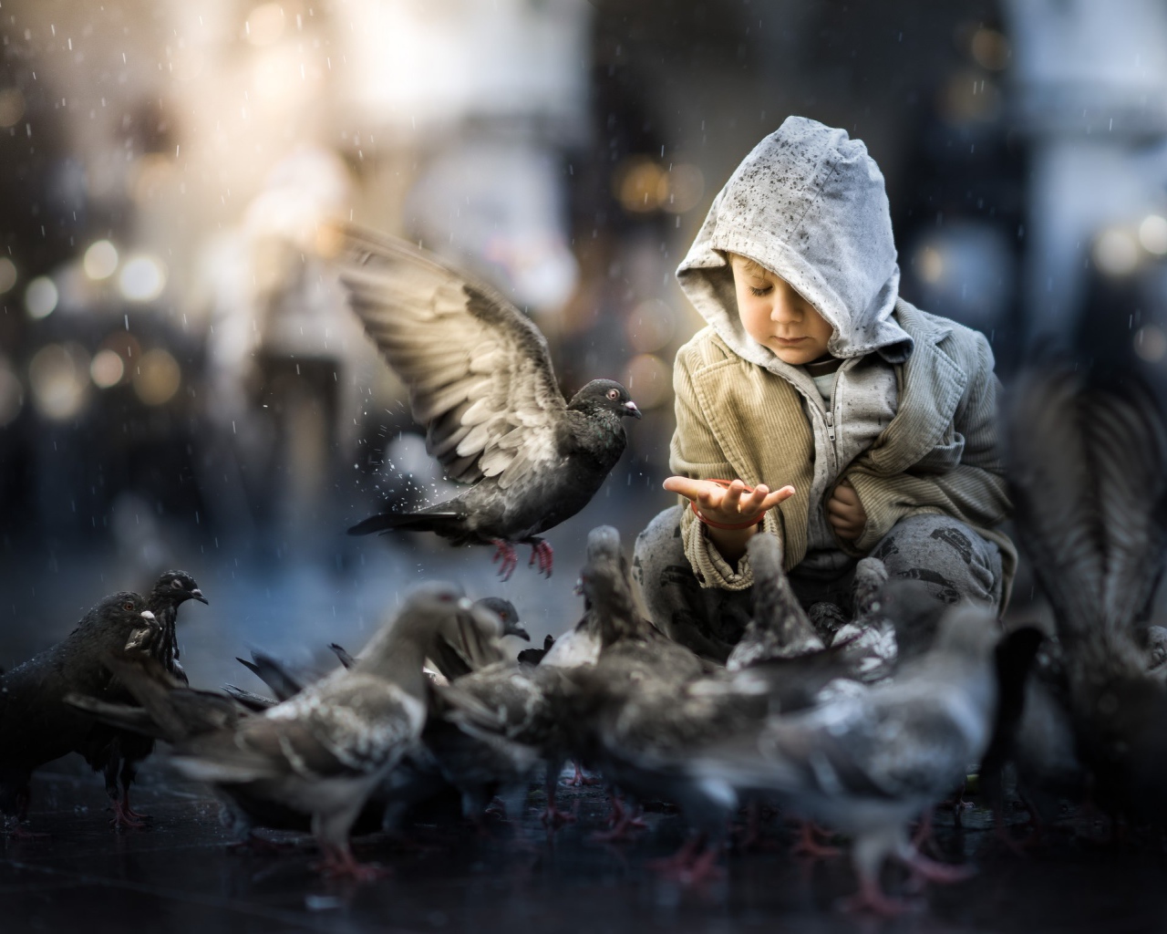 Маленький ребенок кормит голубей 