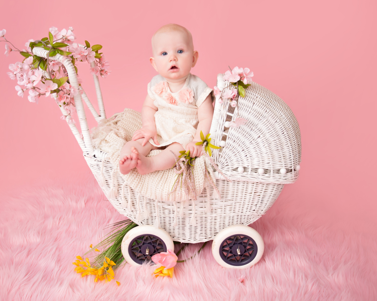 Младенец девочка сидит в коляске на розовом фоне