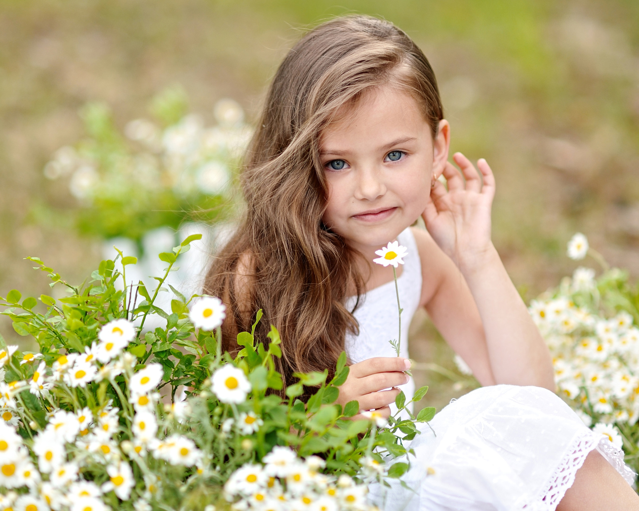 Красивая голубоглазая девочка с белой ромашкой в руке
