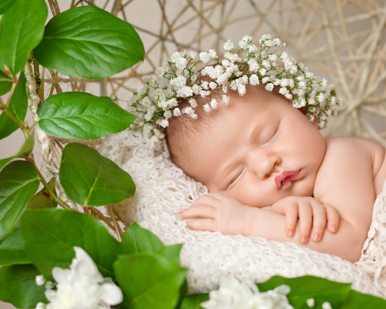 Милый маленький спящий младенец с белыми цветами на голове