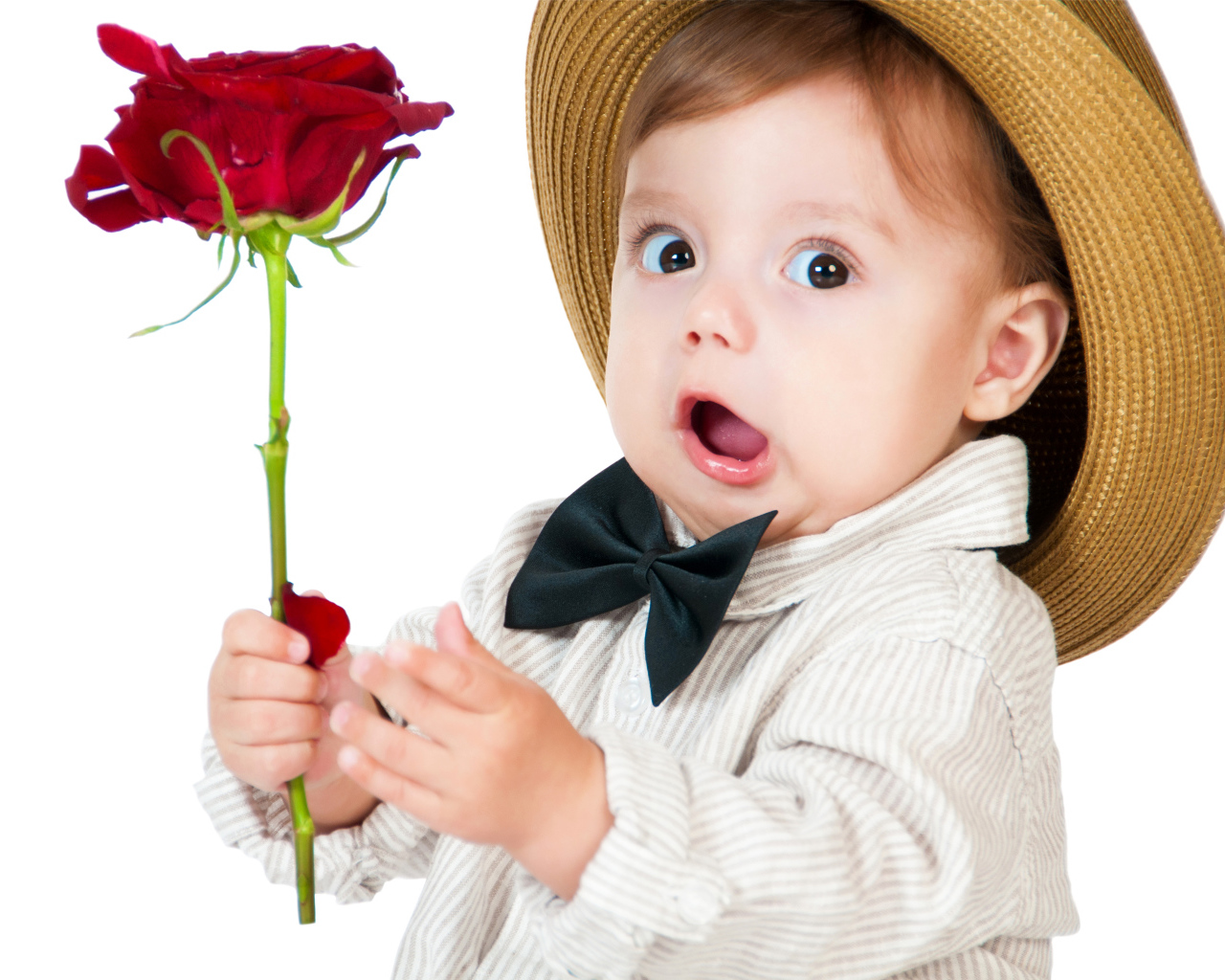Забавный маленький мальчик в шляпе с красной розой в руке