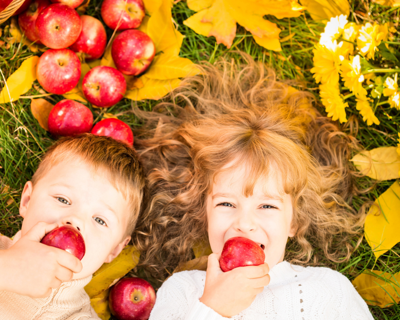 Маленькие мальчик и девочка лежат на желтой листве с красными яблоками