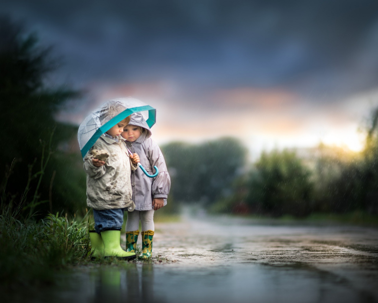 Маленькие мальчик и девочка под зонтом на дороге 