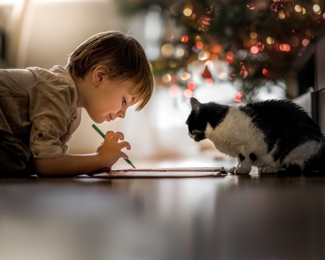 Маленький мальчик рисует с котом 