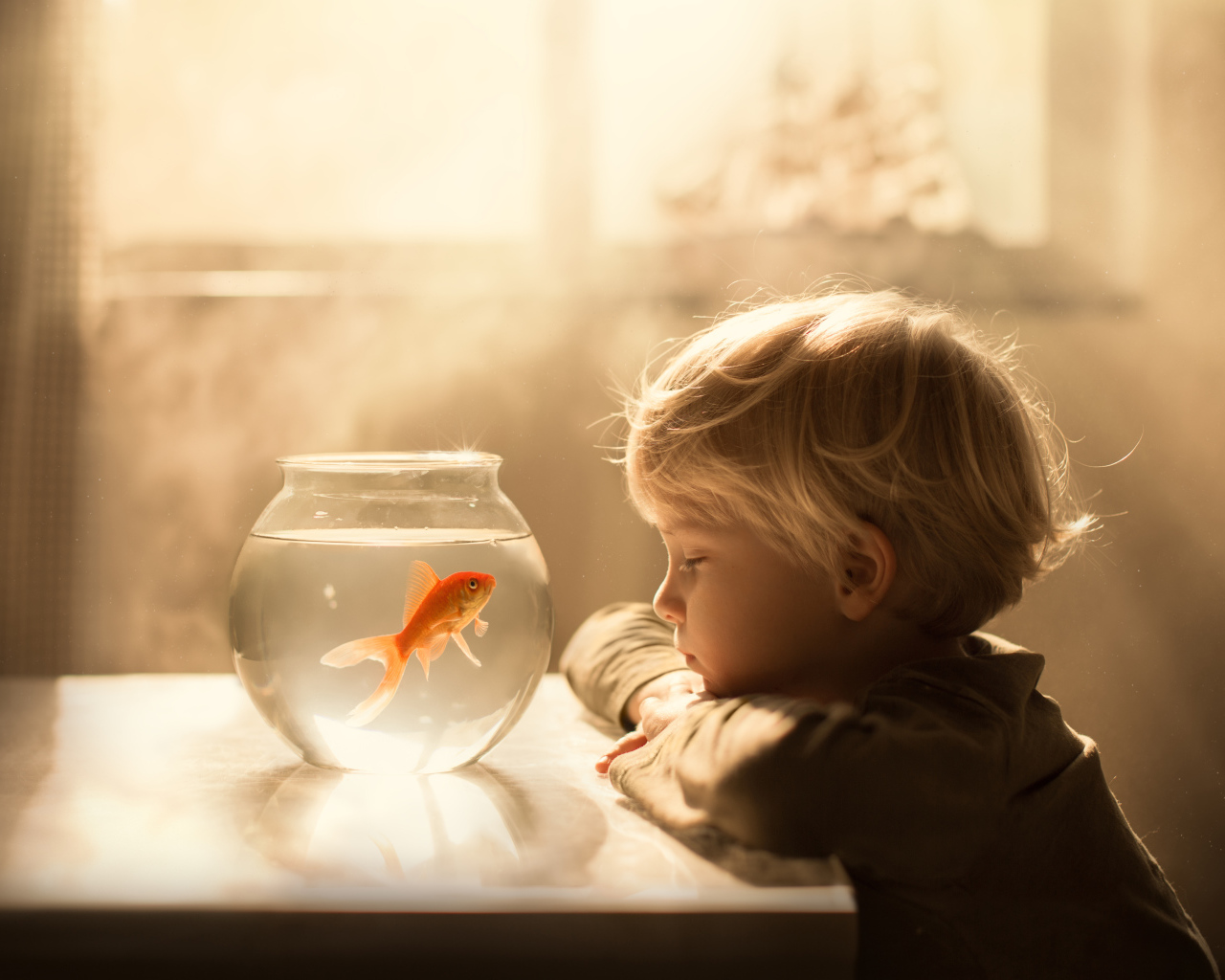 Маленький мальчик смотрит на аквариум с золотой рыбкой