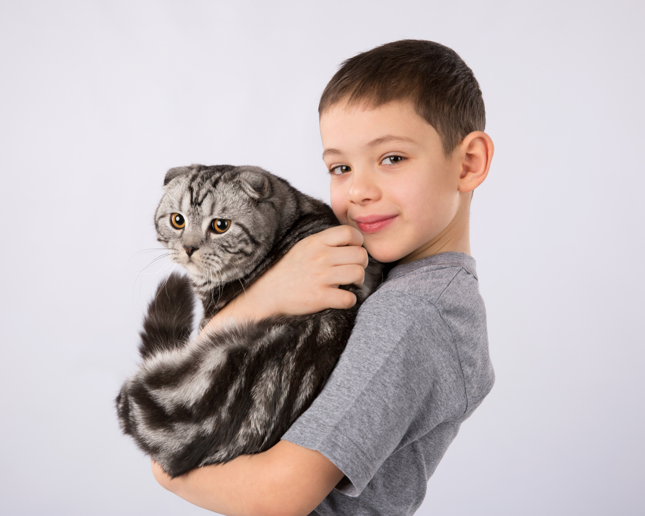 Маленький мальчик с большим котом на сером фоне