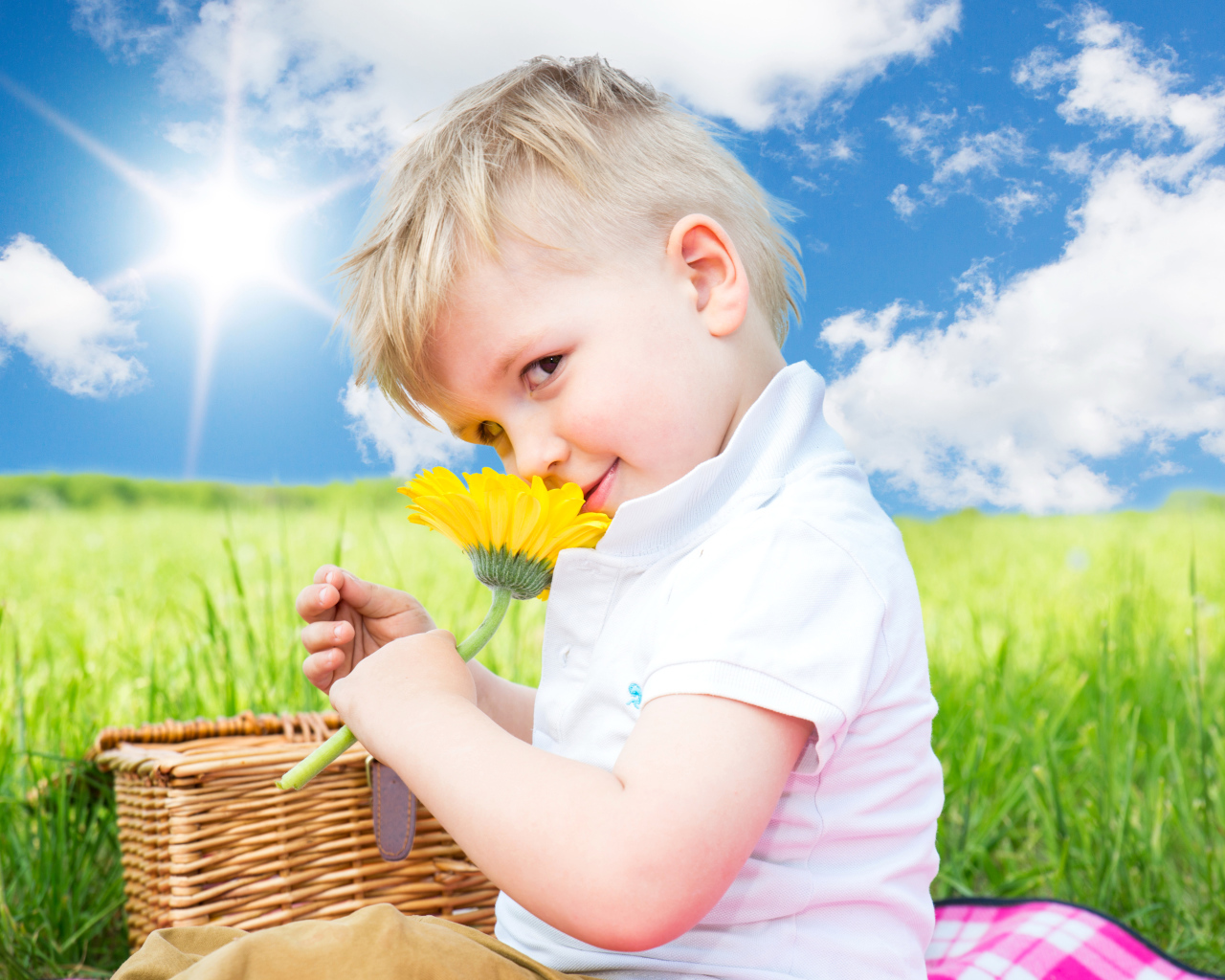 Маленький мальчик с цветком герберы на фоне голубого неба