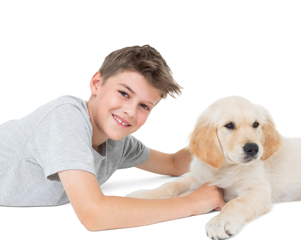 Маленький мальчик с щенком ретривера на белом фоне