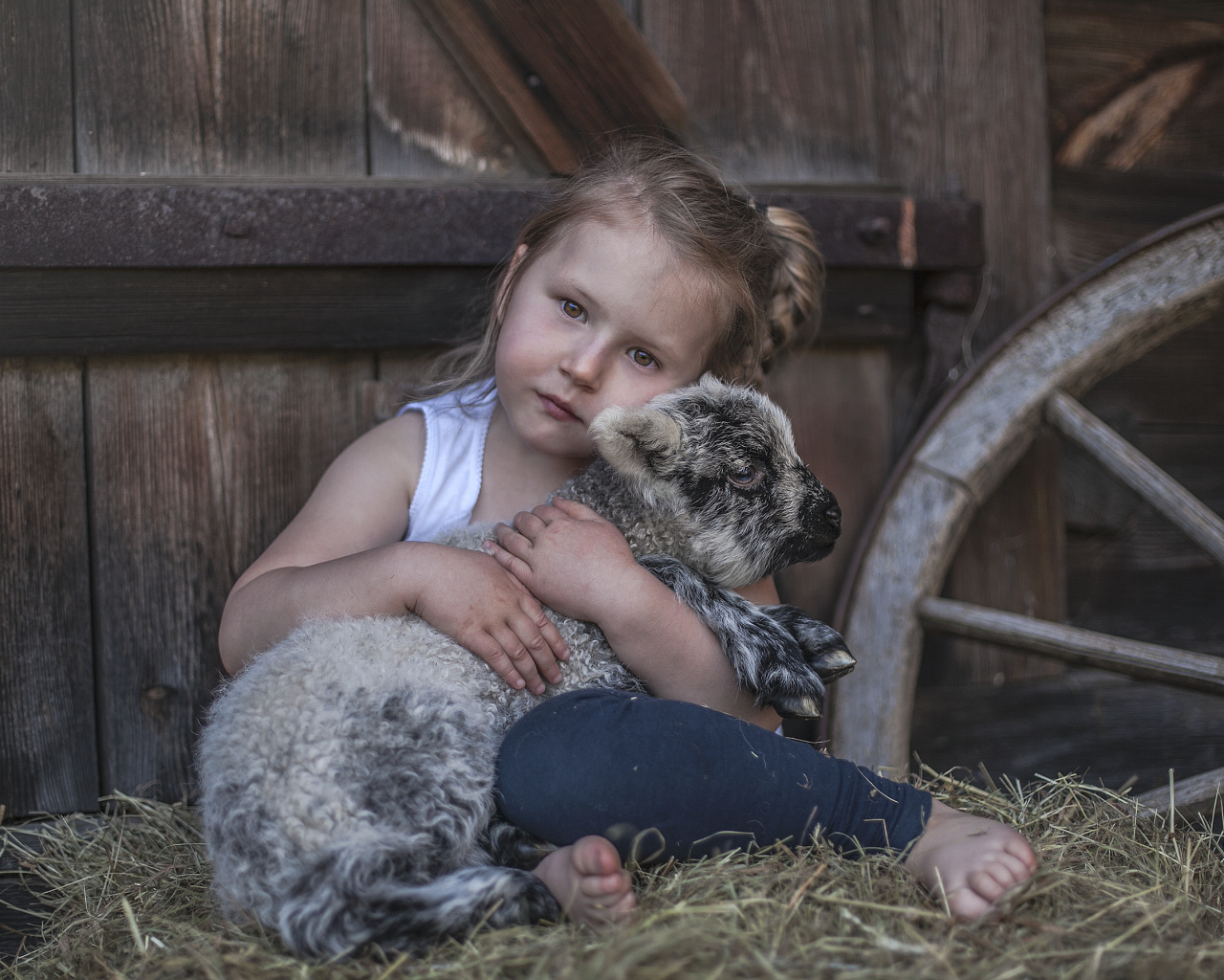 Маленькая кареглазая девочка обнимает ягненка