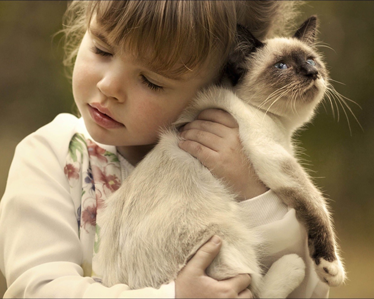 Маленькая девочка обнимает котенка 