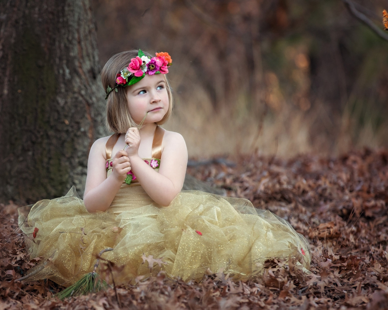 Маленькая девочка в красивом платье сидит на сухой листве