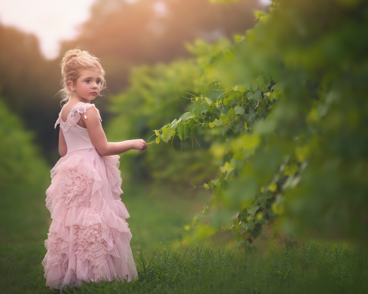 Маленькая девочка в красивом розовом платье стоит на зеленой траве
