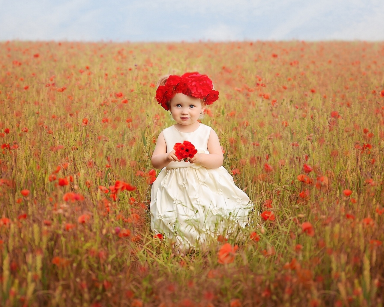 Маленькая девочка в поле красных маков 