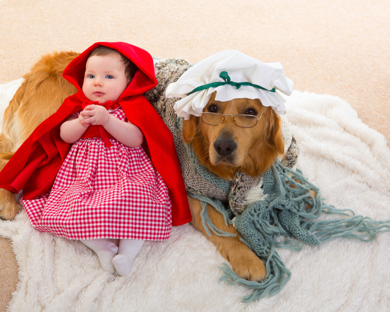 Маленькая девочка в костюме красной шапочки с большой собакой