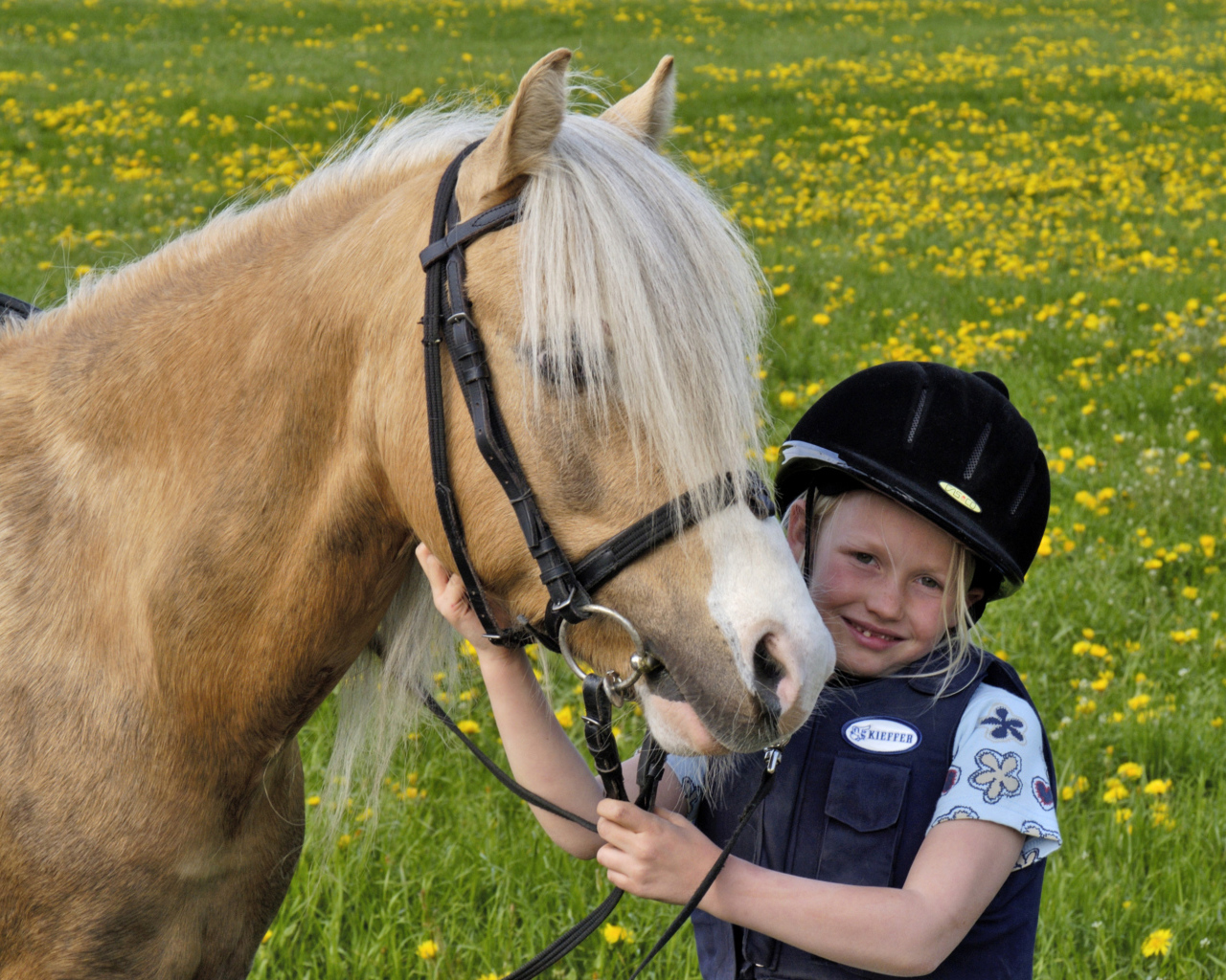 Маленькая девочка в шлеме с лошадью