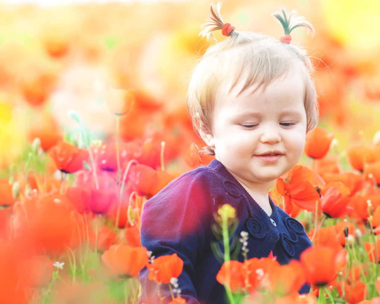 Маленькая девочка в красных цветах мака 