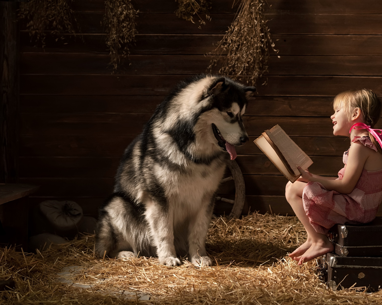 Маленькая девочка читает книгу собаке породы хаски