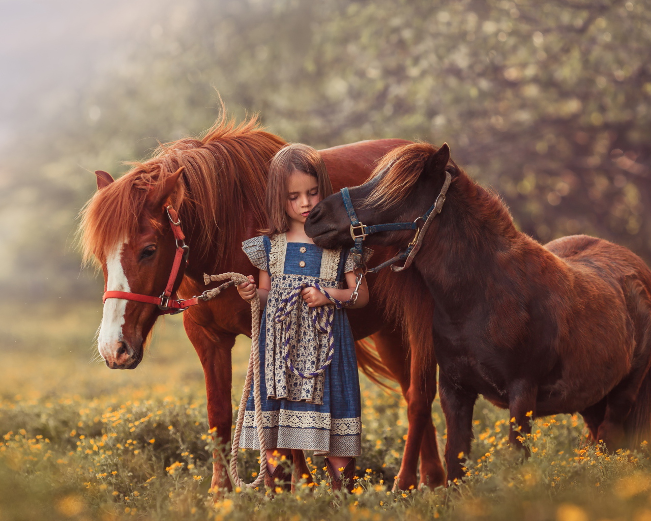 Маленькая девочка гуляет по полю с маленькими пони