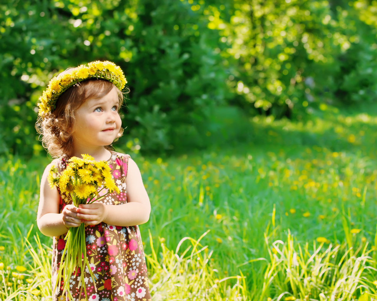 Маленькая девочка с букетом одуванчиков 