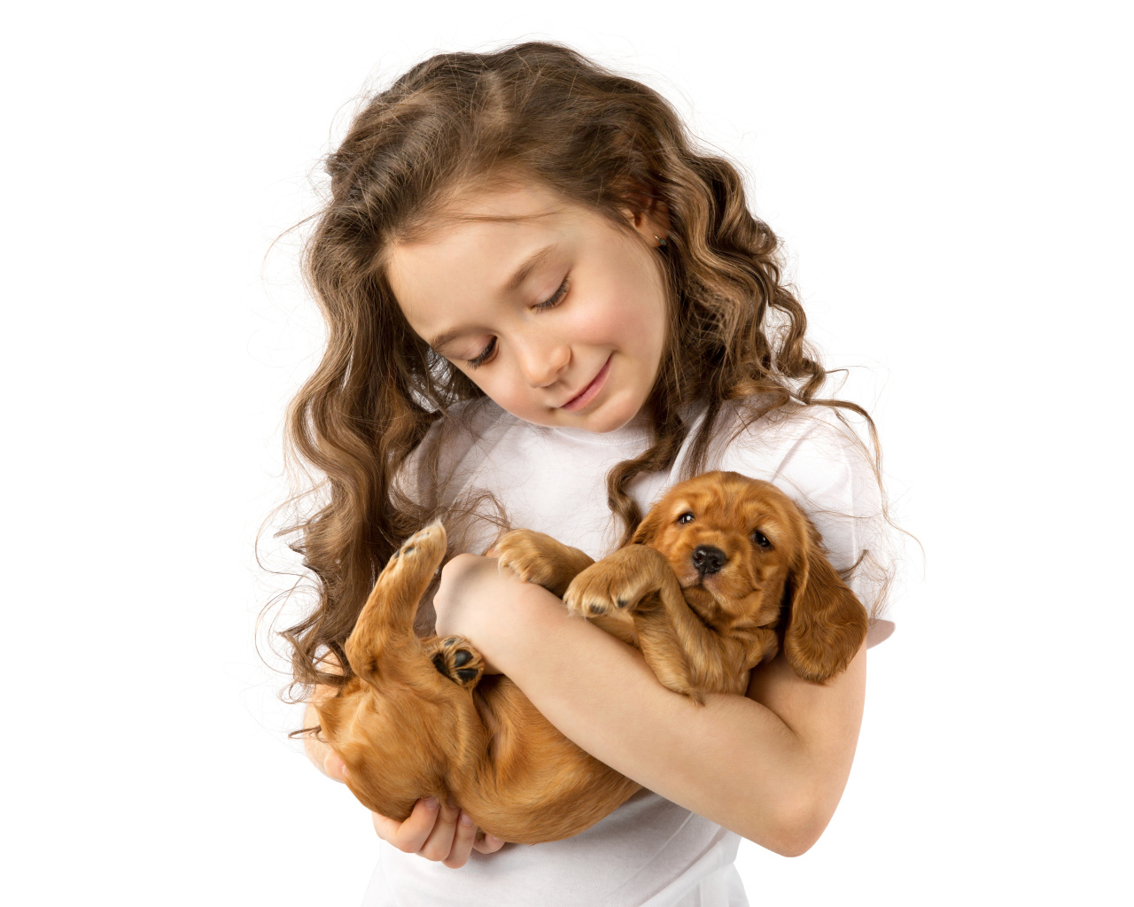 Маленькая девочка шатенка с маленьким щенком в руках на белом фоне